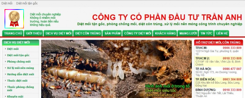 cong-ty-khu-trung-tran-anh