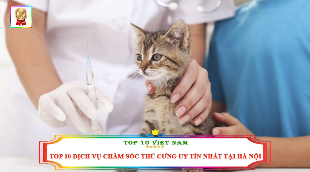 TOP 10 DỊCH VỤ CHĂM SÓC THÚ CƯNG UY TÍN NHẤT TẠI HÀ NỘI