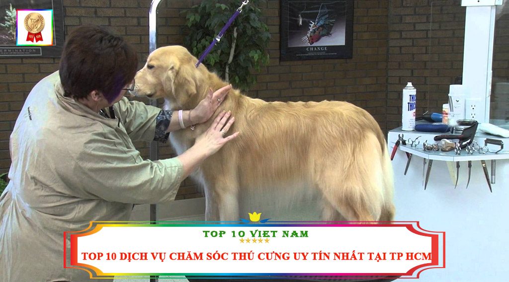 TOP 10 DỊCH VỤ CHĂM SÓC THÚ CƯNG UY TÍN NHẤT TẠI TP HCM