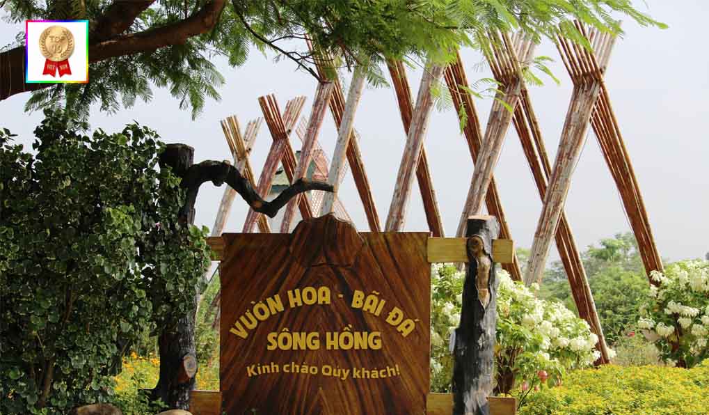 bai-da-song-hong