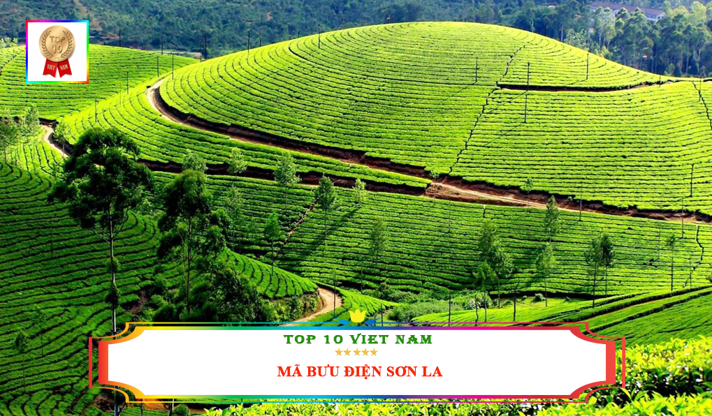 Mã bưu điện Sơn La