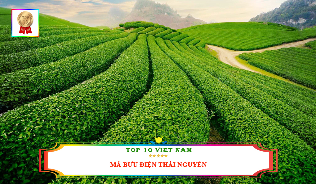 Mã bưu điện Thái Nguyên