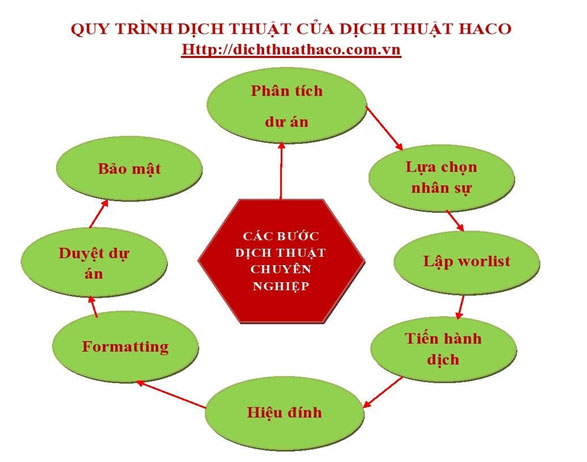 Quy trình dịch thuật tại HACO